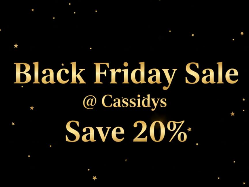 Cassidys Hotel | D01 V3P6 | 1