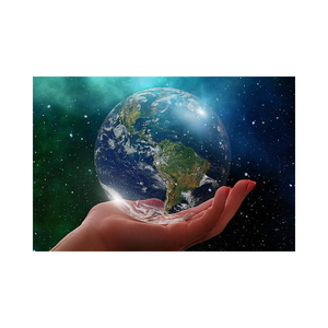 Environmental Policy